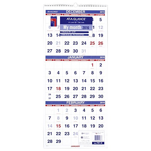 AT-A-GLANCE Wall Calendar 2016, Vertical, 3-Month Reference, 14 Months, 12 x 27 Inches (PM11-28)