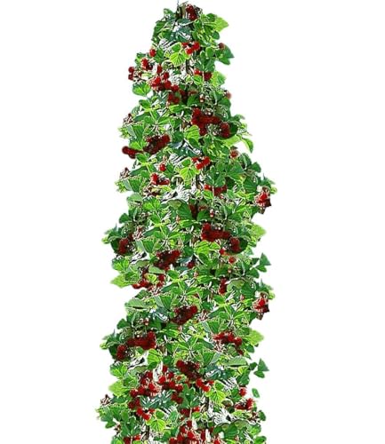 BALDUR Garten 1x Japanische Säulen-Himbeere Pflanze im 2 Liter-Topf Japanische Weinbeere Rubus phoenicolasius Hybride Säulenobst winterhart platzsparend für kleine Gärten Balkone & Terrassen