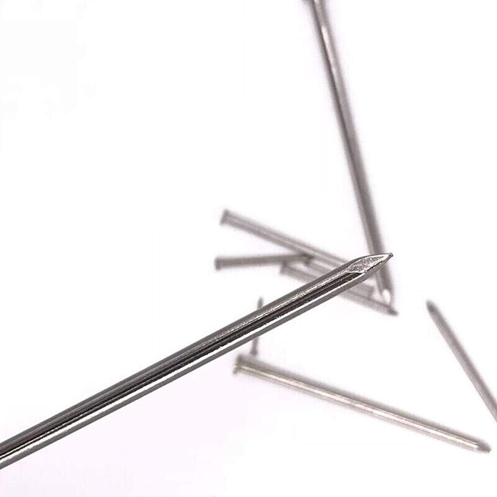 Clavo galvanizado para pared de hormigón ,clavos d 304, 316, Acero inoxidable, Clavo redondo, Clavo elemental, Clavo extranjero, Clavo de hierro, Clavo redondo de acero(0.8 Inch (316 Material))