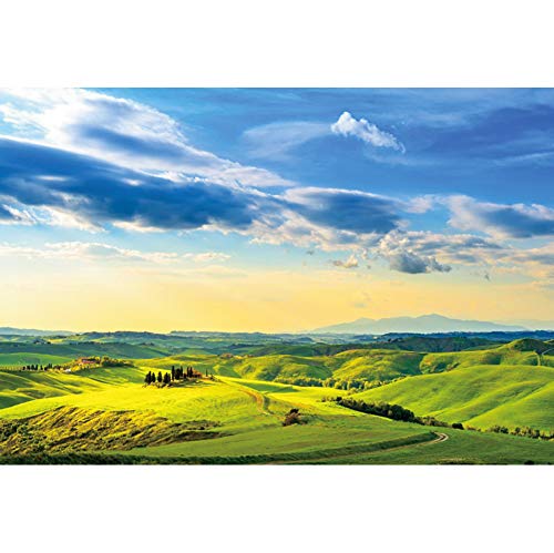 Fond de studio paysage de montagne pour vidéo de printemps