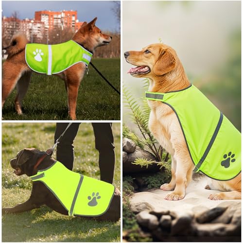 Warnweste für Hunde, Abeillo Pet Hunde Warnwesten, Hund Sicherheit Reflektierende Weste, Verstellbar Hundejacke für Outdoor Aktivitäten Spaziergänge im Dunkeln (Helle Grün)
