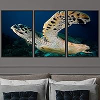 3 Piece Framed Canvas Wall Art Turtle Under The Surface Canvas Prints Home Artwork Decoration for Living Room,Bedroom - 16