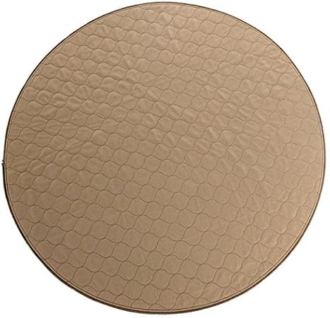 can i feed my dog sweet potato everyday