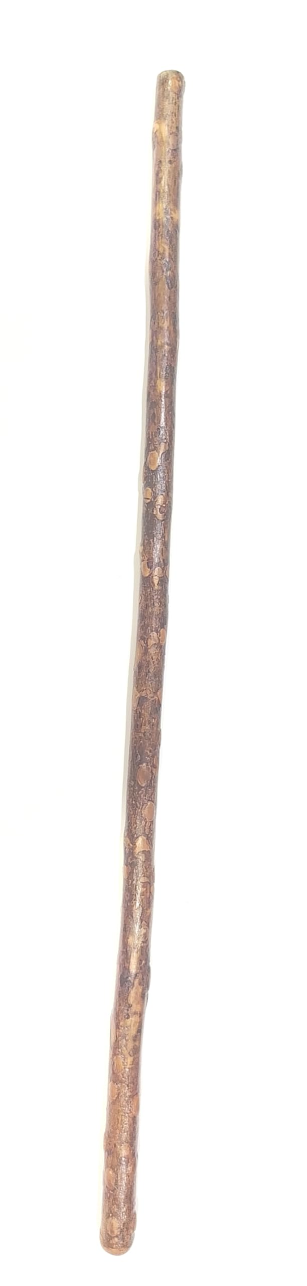Tejbal ki lakdi, Narasimha Dand, Walkng stick Height 2 feet 9 inch other names are Tejbal Wood, Timru, Tumbaru, Tejphal, Narasimha Dand, Walkng stick-image-41