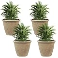 Sunnydaze 24-Inch Anjelica Large Plastic Pot for Plants - Outdoor Double-Walled Large Plastic Planter with Drillable Drainage Holes - Beige - 4pk