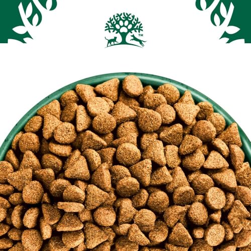 James WELLBELOVED Superfoods 1,5kg Hund Trockenfutter Truthahn mit Einer Mischung aus Grünkohl und Quinoa