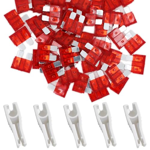 JYNVO Confezione da 40 pezzi di fusibili per auto, con 5 pinze per fusibili, fusibili a innesto, adatti per auto, barche, motociclette, camper e scooter