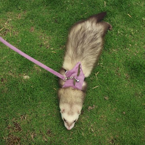 Image of Bearded Dragon Harness and Leash Set - Soft Fleece Dinosaur Vest with Safe Bell Adjustable Lizard Traction Rope Escape Proof Outdoor Walking Training Leash for Ferret Rat Kitten Puppy (Purple)