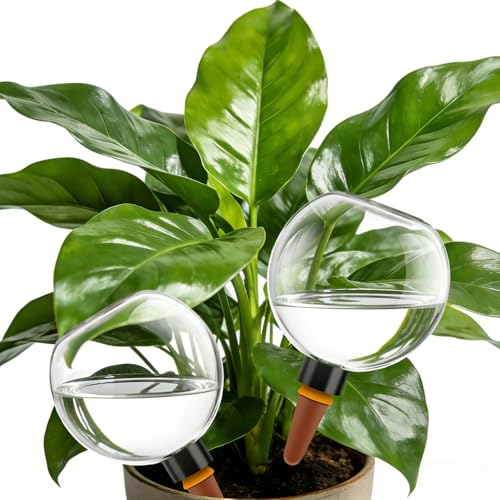 Luxoraiova 4er Set Bewässerungskugeln, 500ml Automatische...