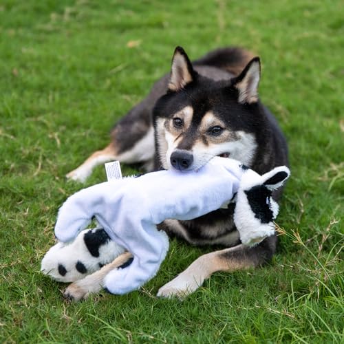Best Pet Supplies Squeaky Dog Toys with Soft Durable Fabric for Small, Medium and Large Pets Interactive Toy for Indoor Play, Supports Active Biting and Play - Cow, Monkey, Medium by Best Pet Supplies - Image 8
