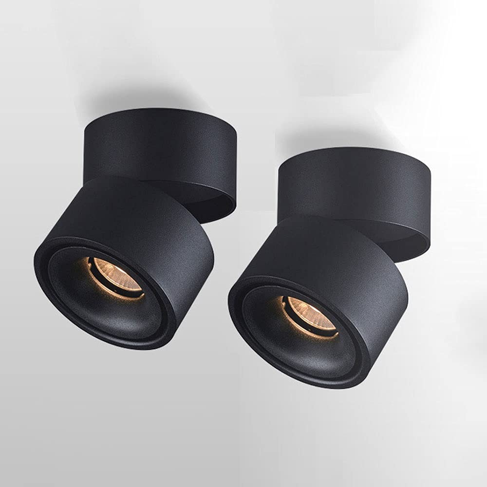 LED Ceiling Spotlights Indoor Adjustable Ceiling Accent Lamp, Surface Mounted Ceiling Spot Lights -Aluminum Ceiling Downlights Wall Swivel Lamps for Living Room, Kitchen (Color : Black-3000K)