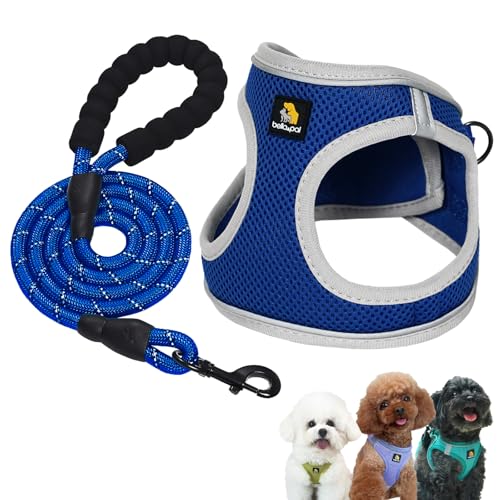 BELLA & PAL p n[lX [h Zbg ^ ^ Lpn[lX  h~ TCY\ Ԕ EȒP Up ϋv ʋC \tg bV (SapphireiNC~O[vj, XXS)
