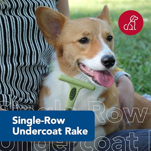 Coastal-Pet-Safari-Single-Row-Undercoat-Rake-Gentle-Dematting-and-Deshedding-Tool-for-Dogs-Pet-Grooming-Comb Coastal Pet Safari Single Row Undercoat Rake Gentle Dematting and Deshedding Tool for Dogs Pet Grooming Comb