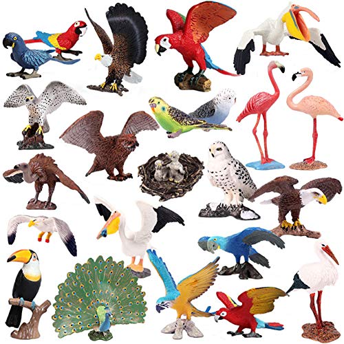 FLORMOON Animal Figures 23 pcs Realistic Plastic Bird Toys Set Includes Peacock, Macaw, Parrot, Pelican, Crane etc. Science Project, Learning Educational Toys, Birthday Gift for Kids Toddlers