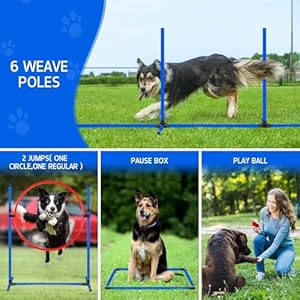 Dog Agility Course Backyard Set Dog Agility Equipment Obstacle Course Backyard Includes Adjustable High Hurdle,6 Weave Poles,Extended Tunnel,Jump Ring,Square Pause Box,2 Balls,Whistle,2 Carrying Bags Dog Agility Course Backyard Set Dog Agility Equipment Obstacle Course Backyard Includes Adjustable High Hurdle6 Weave PolesExtended TunnelJump RingSquare Pause Box2 BallsWhistle2 Carrying Bags