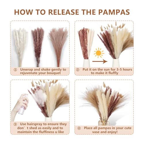 White Natural Pampas Grass Dried Flores Decorativas miniatura 7