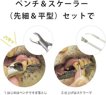 Amazon.co.jp: [帝塚山ハウンドカム] 愛犬愛猫用 歯石取りペンチ