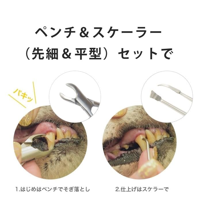 Amazon.co.jp: [帝塚山ハウンドカム] 愛犬愛猫用 歯石取りペンチ