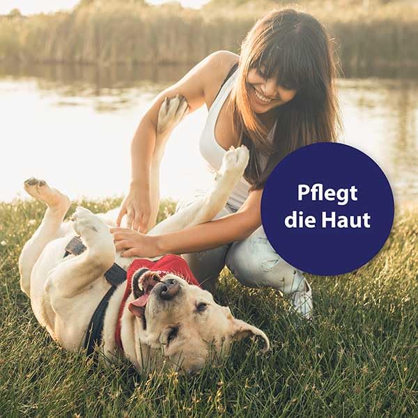 ARDAP Floh- und Zeckenschutz Paket inkl. Dr. Fressnapf Online-Tierarzt Beratung für Hunde (S) - Zeckenmittel für Hunde, Zeckenschutz Hund, Flohmittel Hund, Bis zu 12 Wochen Langzeitschutz