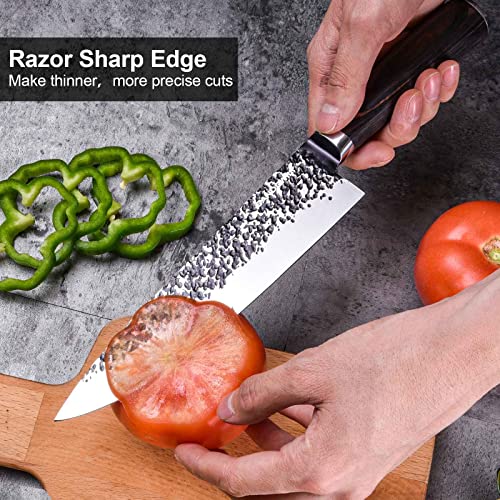 SANDEWILY Chef Knife, 8 Inch Professional Chefs Knife Sharp Kitchen Knife, German High Carbon Stainless Steel Japanese Knife with Ergonomic Handle and Gift Box