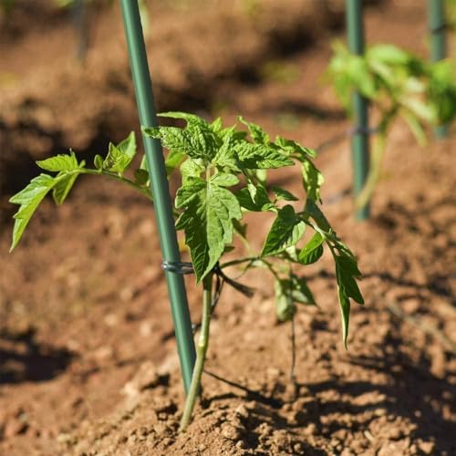 8ft. Fiberglass Poles Solid Garden Stakes Fence Post Heavy-Duty Plant for Tomatoes (20pack) 3/8