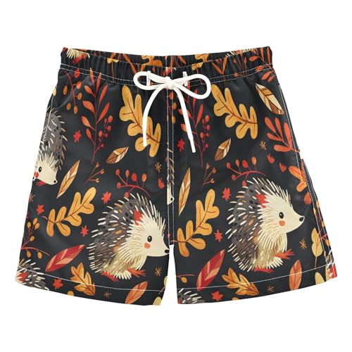 Boys Swim Trunk Quick Dry Autumn Hedgehogs Leaves Berries Board Shorts Swimwear 6-12T
