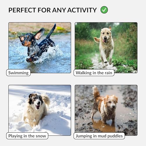 CollarDirect Wasserdichtes Hundehalsband – Verstellbar, Silikon & Kunststoff, geruchsresistent, leicht zu reinigen, mit Sicherheitsverschluss – für kleine bis große Hunde