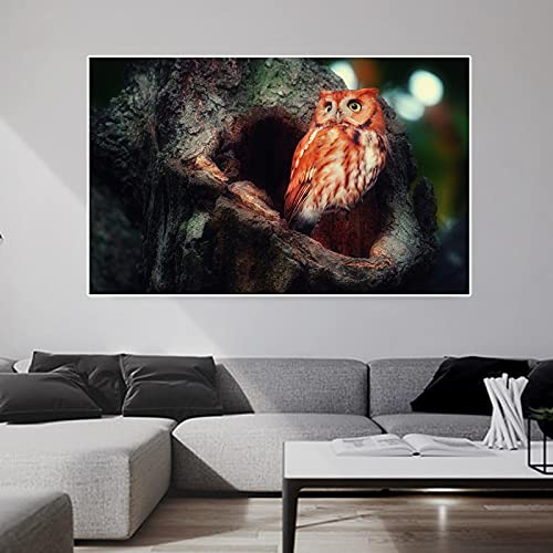Toile animaux colorés hibou pour habiller un grand mur