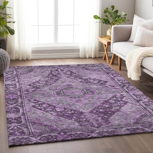 Addison Rugs Chantille ACN1761 ナス 2フィート6インチ x 3フィート25.4cm 屋内/屋外、洗濯機洗い可能、お手入れ簡単、脱落防止、寝室、リビングルーム、ダイニングルーム、キッチン、パティオラグ