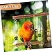 Happyyami Parrot Toys for Large Birds Bird Hammock Swing Parrot Accessories Wooden Playstand Cage Bird Swing