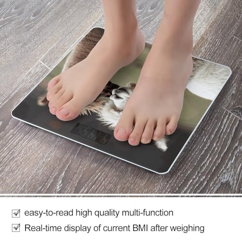 Báscula de baño digital con pantalla LCD grande miniatura 5