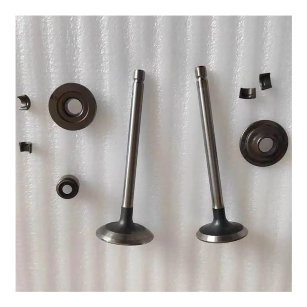 VALVOLA DI ASPIRAZIONE MOTORE E VALVOLA DI SCARICO Adatta for BS 40R777 445577 445677 44L777 406777 407777 10N877 205332 697576 792200