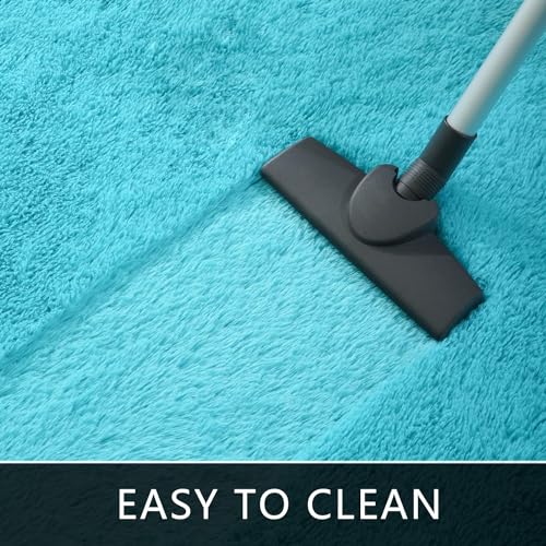 Image of Present Carpet for Room, Shaggy Rugs Fluffy Carpets, Indoor Modern Plush Area Rugs for Living Room Bedroom Kids Room, ETC Blue and Ivory 5x8 feet