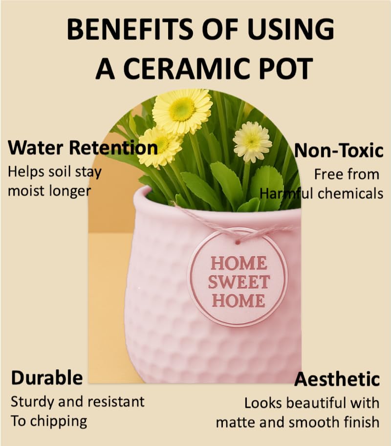 Image of Yo Green Ceramic Plant Pot for Indoor & Outdoor, Modern Planter for Home & Office Decor, Durable, Stylish Finish, Ideal for Tabletop, Shelf, Balcony, Great Gift Idea (Pink, 3 Inches)