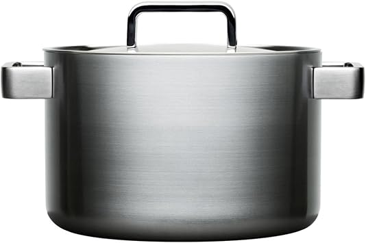 Iittala Dahlstrom 98 Stainless Steel 22cm 5l Casserole