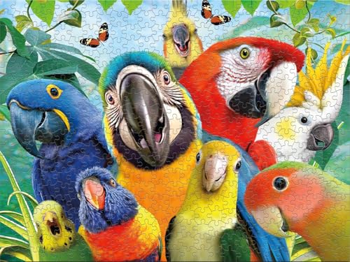 Ceaco - Perfect Parrot Selfies - Rompecabezas de 500 piezas para adultos con arte de Howard Robinson, hecho en EE. UU., cartón reciclado, tamaño terminado 21 x 15 in, incluye póster, arte para enmarcar miniatura 5