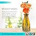 MODGY Expandable Flower Vase Plastic Decorative Modern Vases for Flowers Centerpieces Dining Table Decor Living Room Bathroom Wedding Office, The Kiss