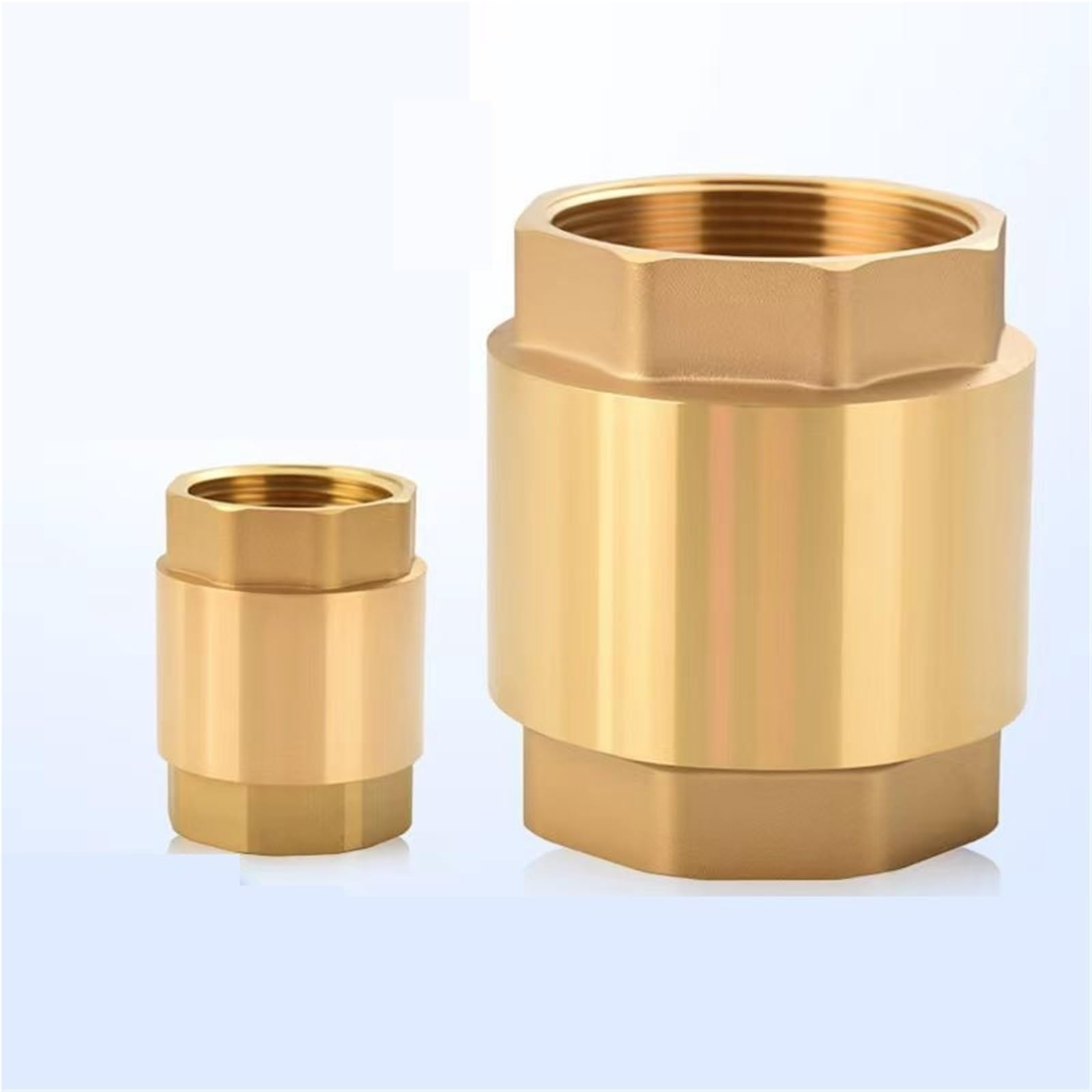 Valvola di ritegno verticale in ottone tipo a sollevamento valvola unidirezionale anti-riflusso valvola di arresto dell’acqua per sistemi idraulici(DN50 2 inch)