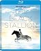 Black Stallion, The Blu-ray