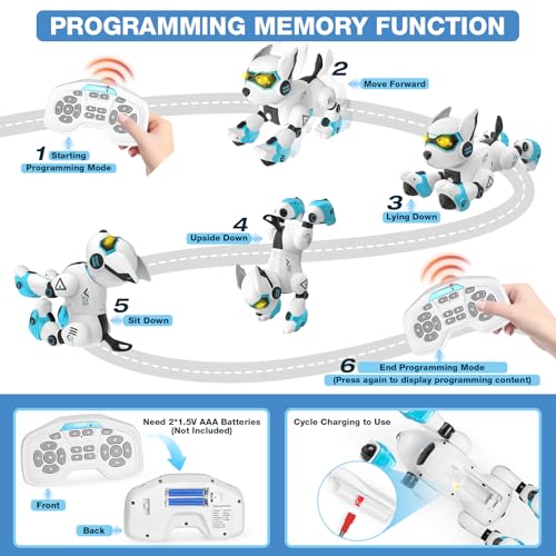 Dreamon Roboter Hund Kinder, Ferngesteuerter Hund Spielzeug Gestensteuerung Interaktive Berührung Programmierbar Tanzmusik Nachahmung von Tiergeräuschen Geschenke für Jungen und Mädchen