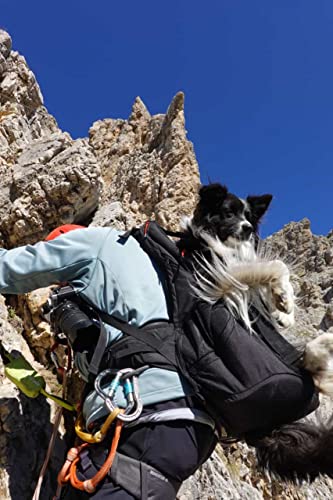 Patentierter Premium Leg Free Rucksack zum Tragen von Hunden Hunderucksack Hundetrage Hundetragerucksack für Hunde von 11-18kg mit 4-Träger Targesystem
