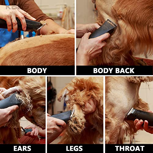 Kbds Detachable Ceramic Pet Clipper Blades,Size-7F,Compatible With Most Andis,Oster,Wahl A5 Clippers,Made Of Ceramic Blade Cutter And Carbon Steel Blade,1/8'' Inch 3.2Mm Cut Length, 7F Blade #TOP2