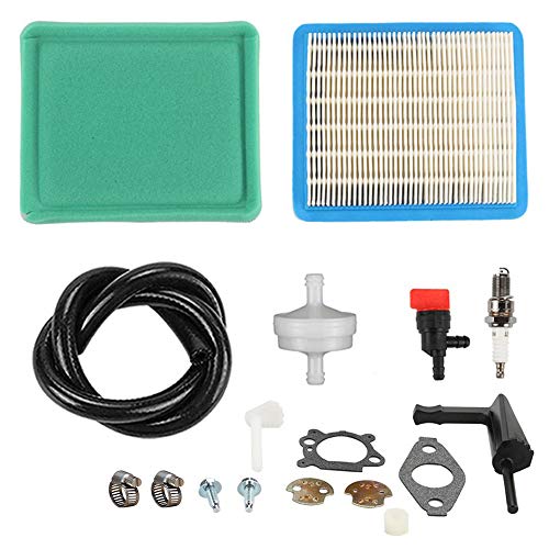 Carburateur 693865 Briggs solution pour panne démarrage tondeuse