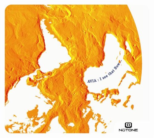 I See That Now [Audio CD] Avia