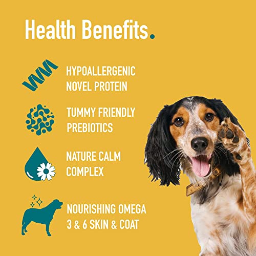Percuro-Snappies-120g-Oven-Baked-High-Protein-Dog-Treats-Hypoallergenic-No-Animal-Livestock-Ingredients-Hypoallergenic-Insect-Protein-No-Artificial-Additives-Sustainable