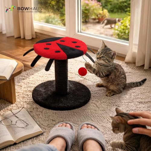 Rascador para gatos CAPHAUS estilo Mariquita 9x9x10 in miniatura 7