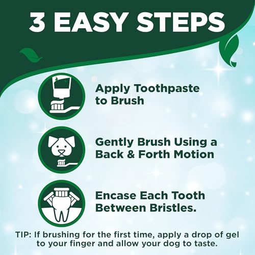 Vet's Best Dog Toothpaste & Toothbrush Kit for Puppies – Puppy Essentials – Dog Toothbrush & Toothpaste for Young Dogs- Perfect for Puppy Teething, Freshens Breath - Peanut Butter Flavor, 3.5 oz