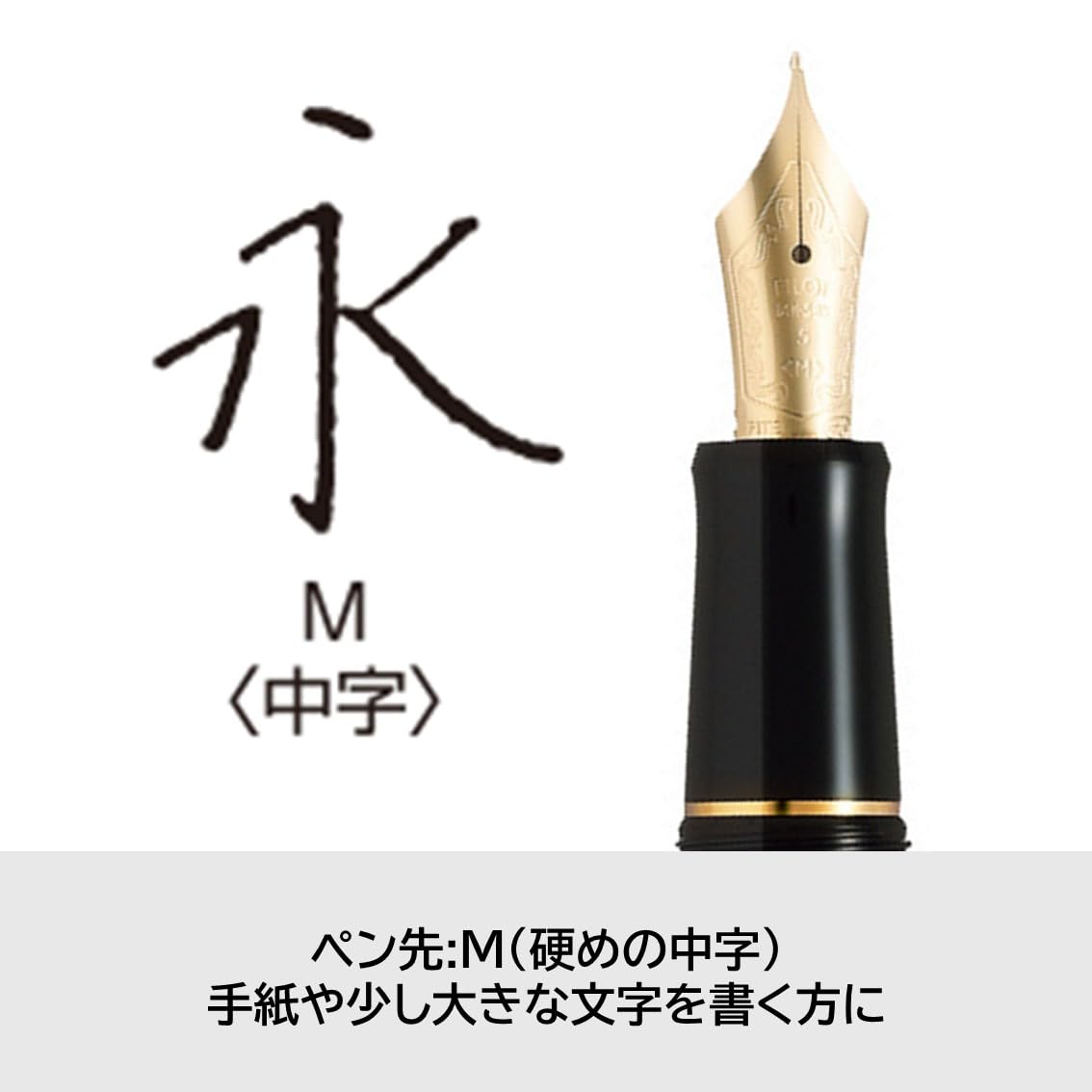 Amazon | PILOT 万年筆 カスタム74 M ミディアム(中字) ダークブルー