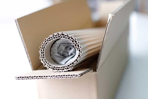 Miniatura 2 de kunst für alle Lámina artísticapóster Henri Matisse The Velvet 1947" Picture, Fine Art Poster, 55.1x19.7 pulgadas  55.1x19.7 in