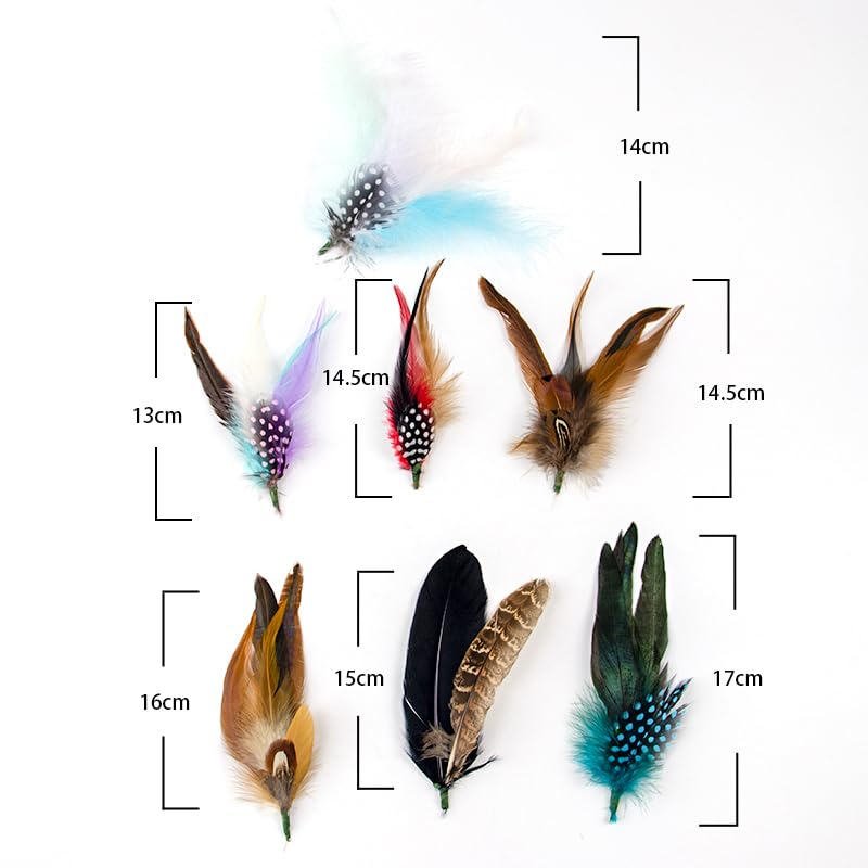 10st Natuurlijk Pauw Veren , 25cm/9,84inch , Doe-het-zelf Ambachten